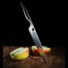 Samura Modern Chef's Knife Reptile -Outdoor Survival Store TC SRP 0087det2 47617.1623233914